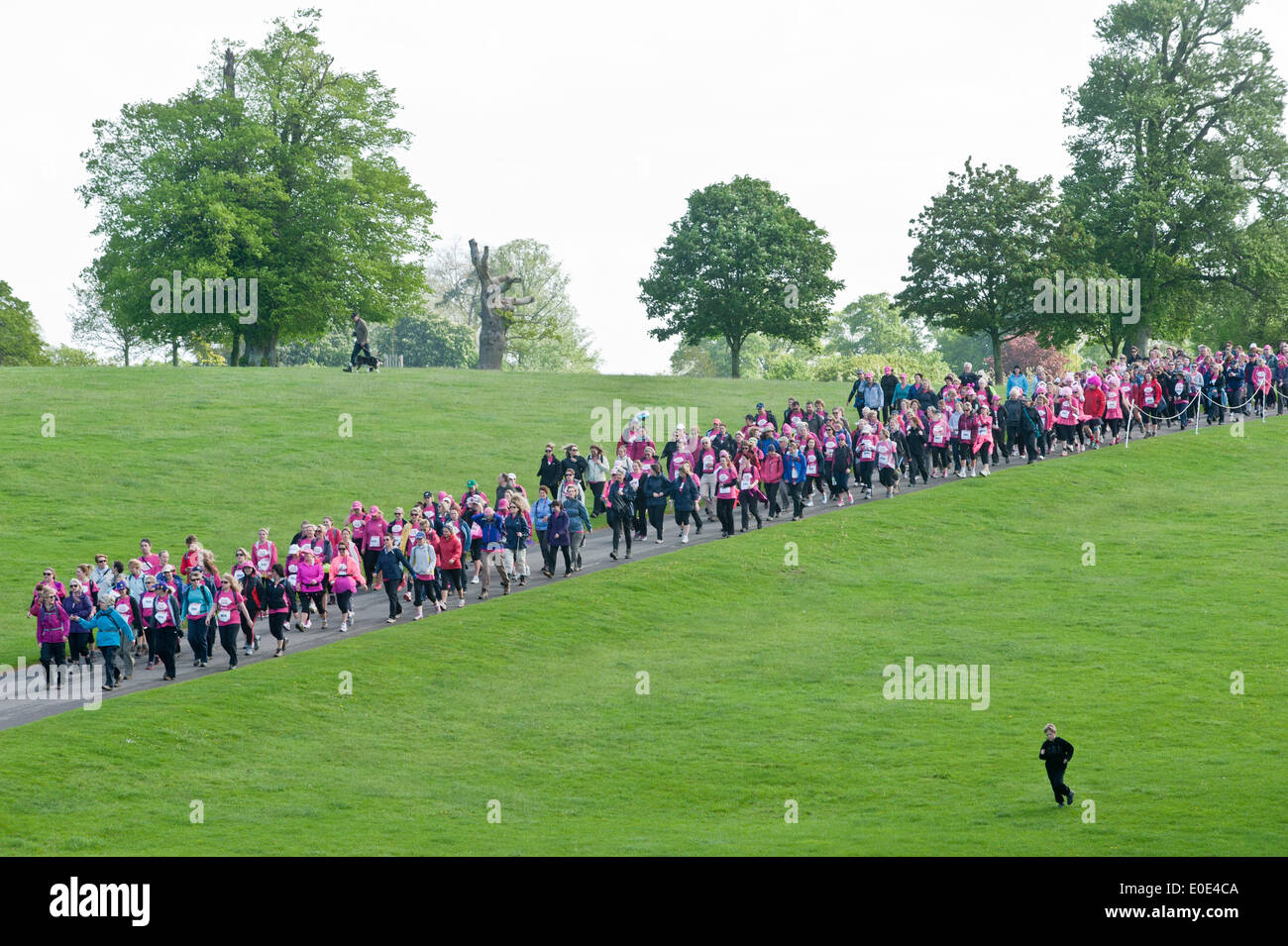 the 10th Pink Ribbon walk at Blenheim Palace Stock Photo - Alamy