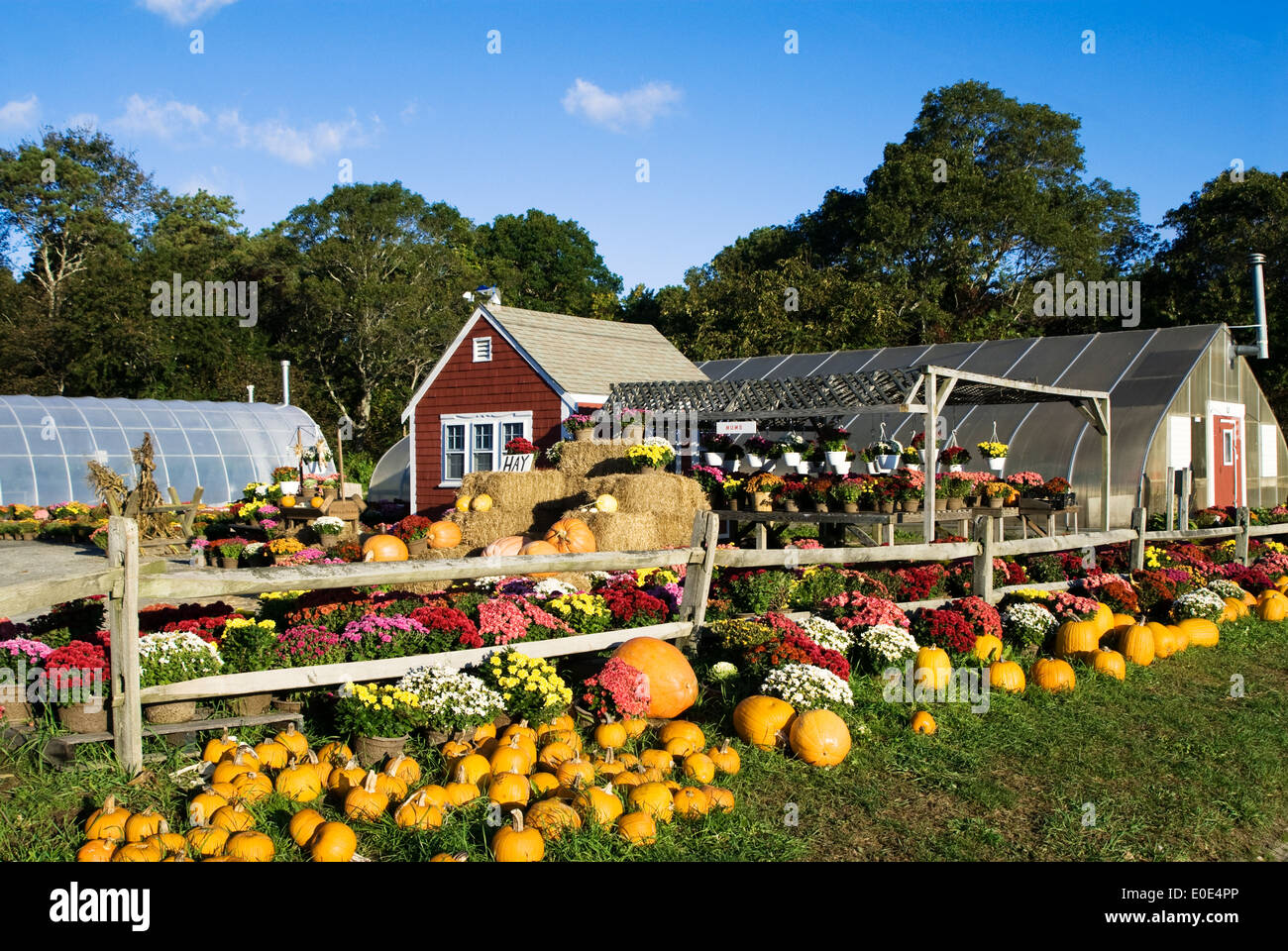Cape cod thanksgiving hi-res stock photography and images - Alamy
