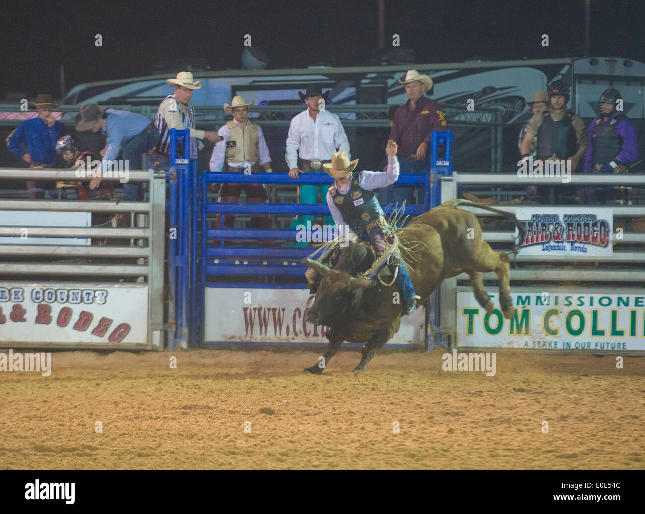 Cowboy Participating in a Bull riding Competition at the Clark County ...