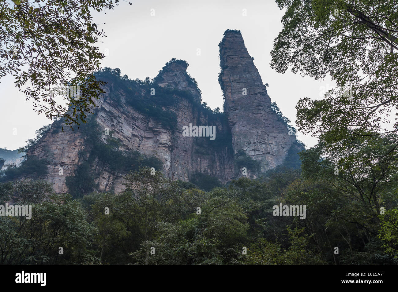 Zhangjiajie National Forest Park Avatar mountains Stock Photo