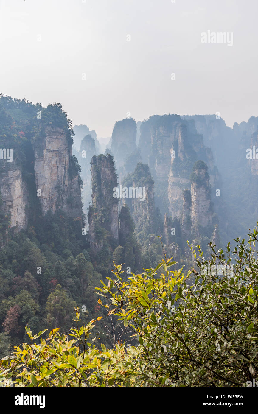 Zhangjiajie National Forest Park Avatar mountains Stock Photo