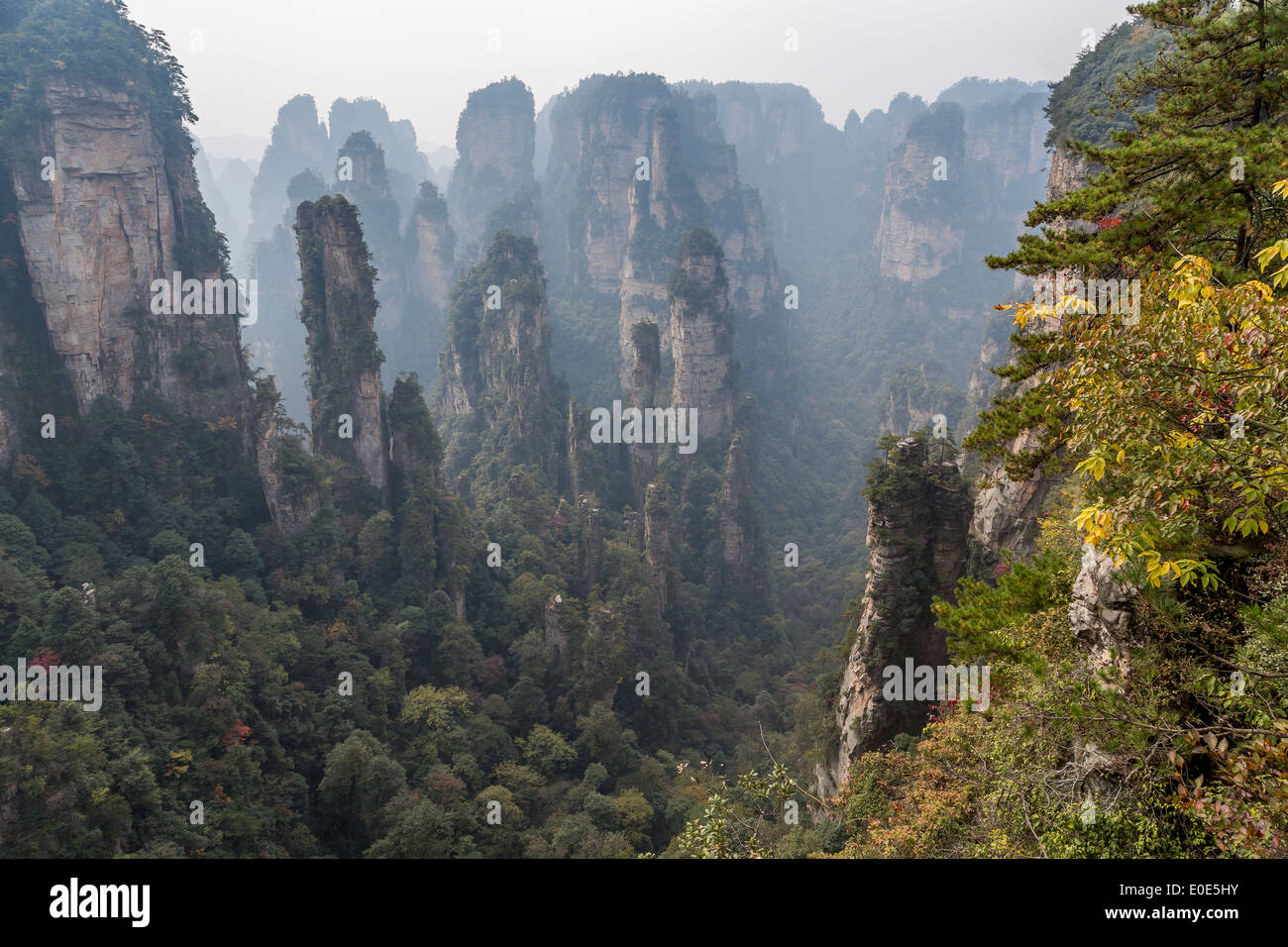 Zhangjiajie National Forest Park Avatar mountains Stock Photo