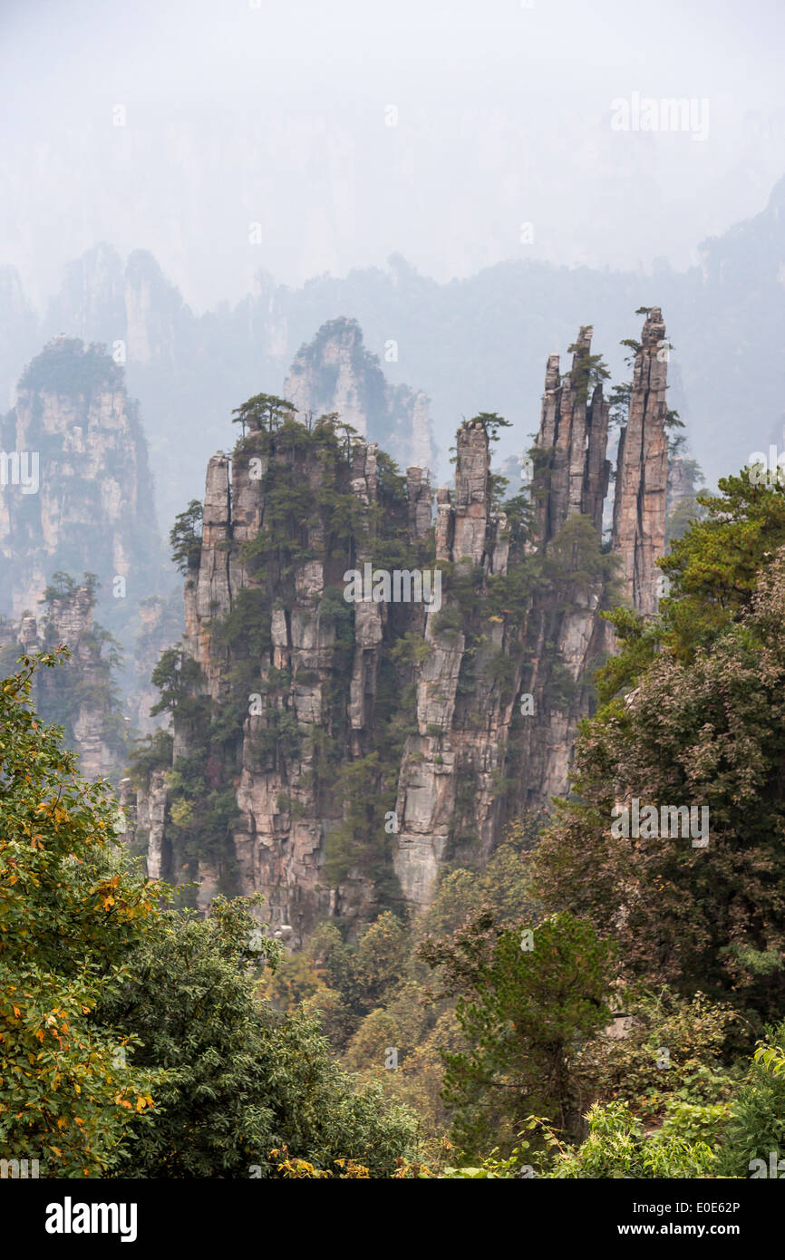 Zhangjiajie National Forest Park Avatar mountains Stock Photo
