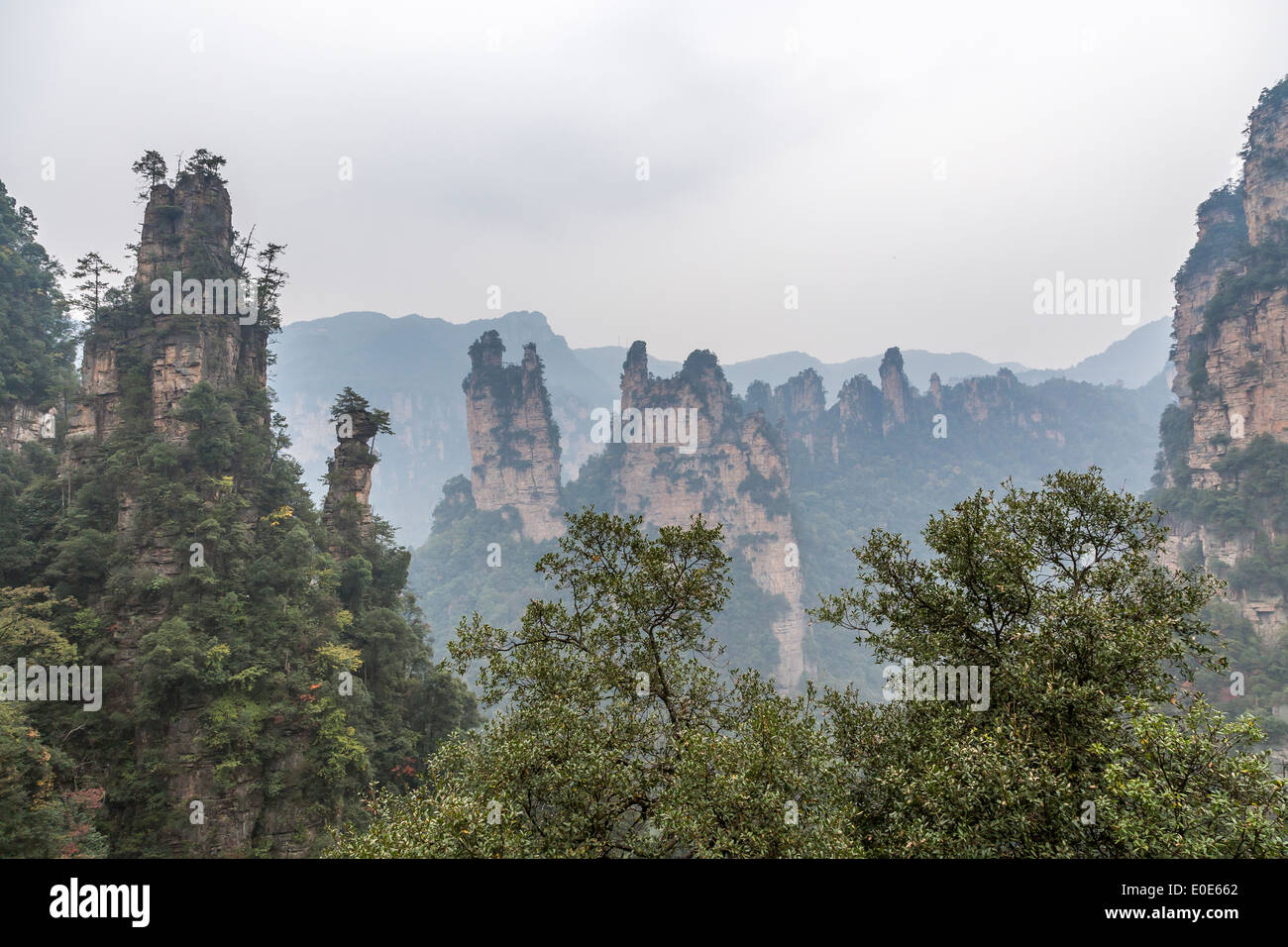Zhangjiajie National Forest Park Avatar mountains Stock Photo