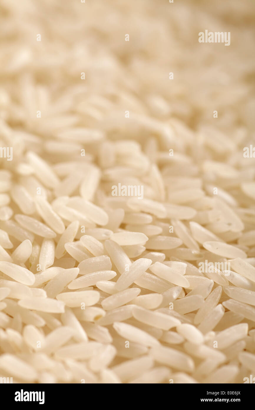 raw, uncooked long-grain white rice Stock Photo