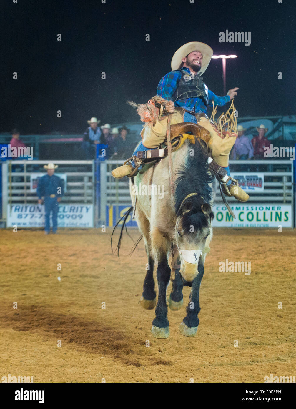 Cowboy Participating in a Bucking Horse Competition at the Clark County