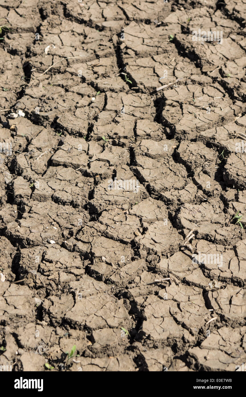 Dry soil with cracks, drought Stock Photo Alamy