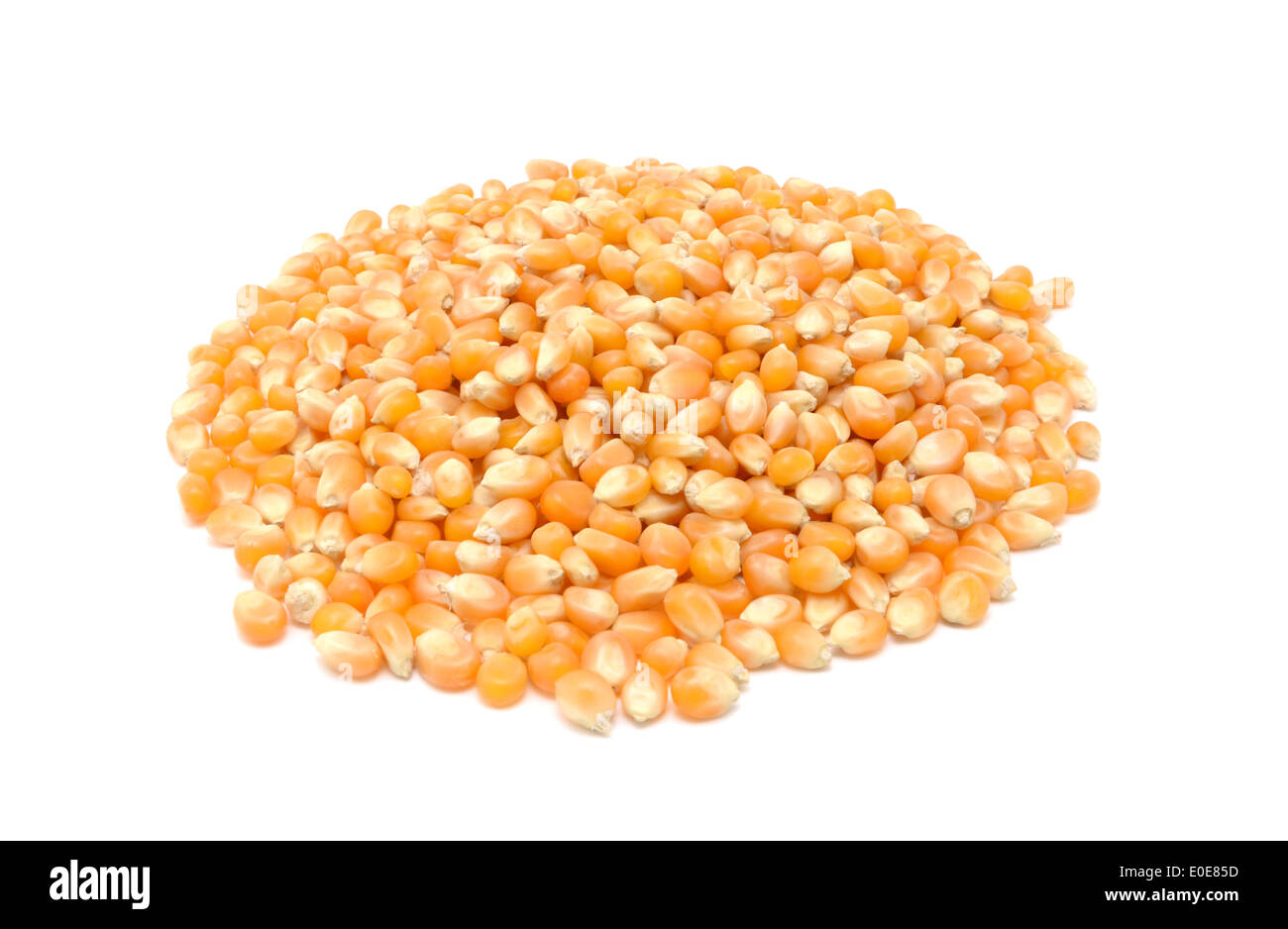 Popcorn maize, isolated on a white background Stock Photo
