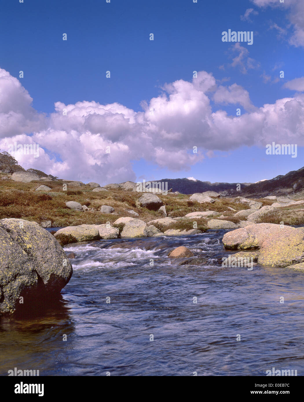 Australia Spencers Creek, Snowy Mountains, NSW Stock Photo Alamy