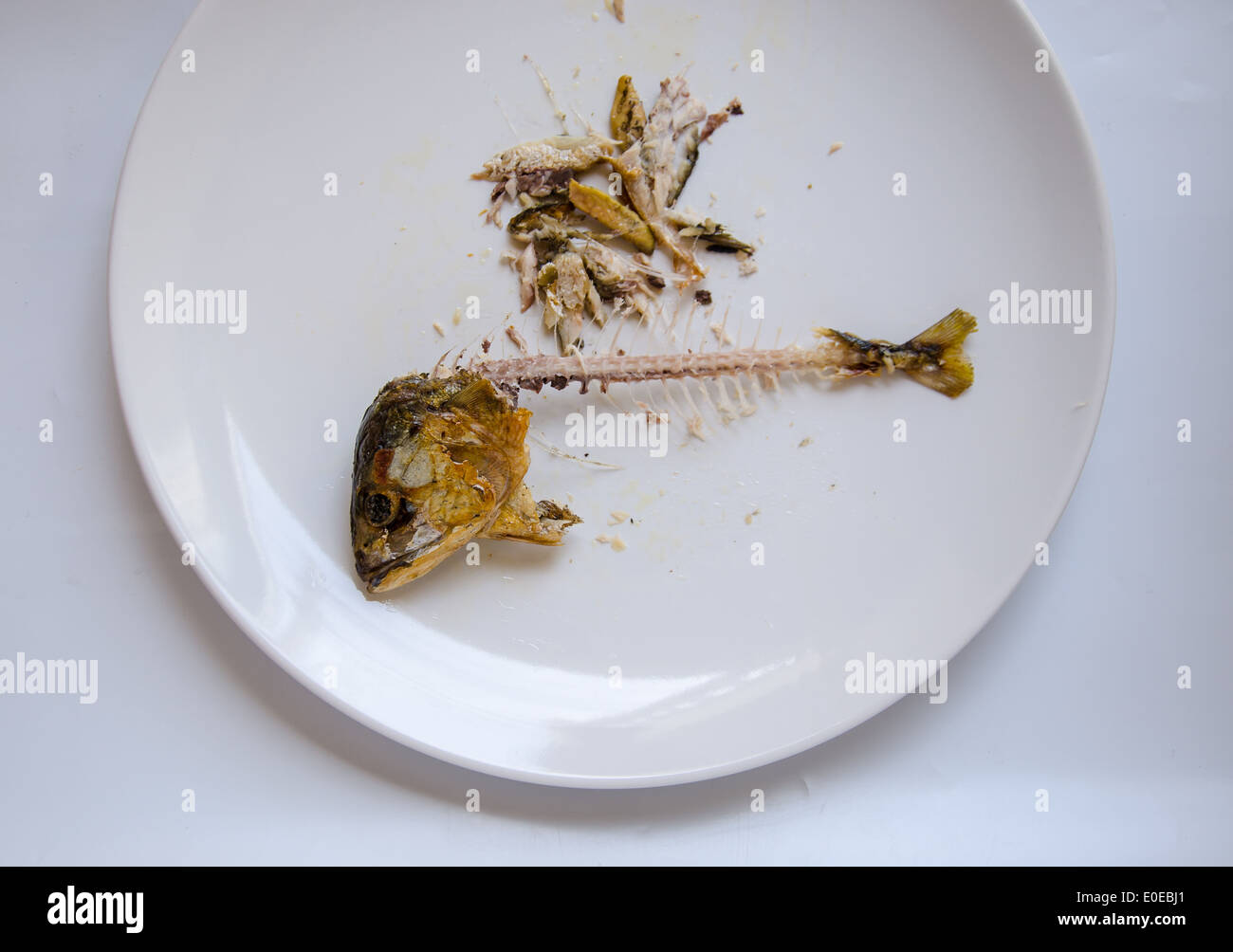 fish bone on dish from eating over Stock Photo