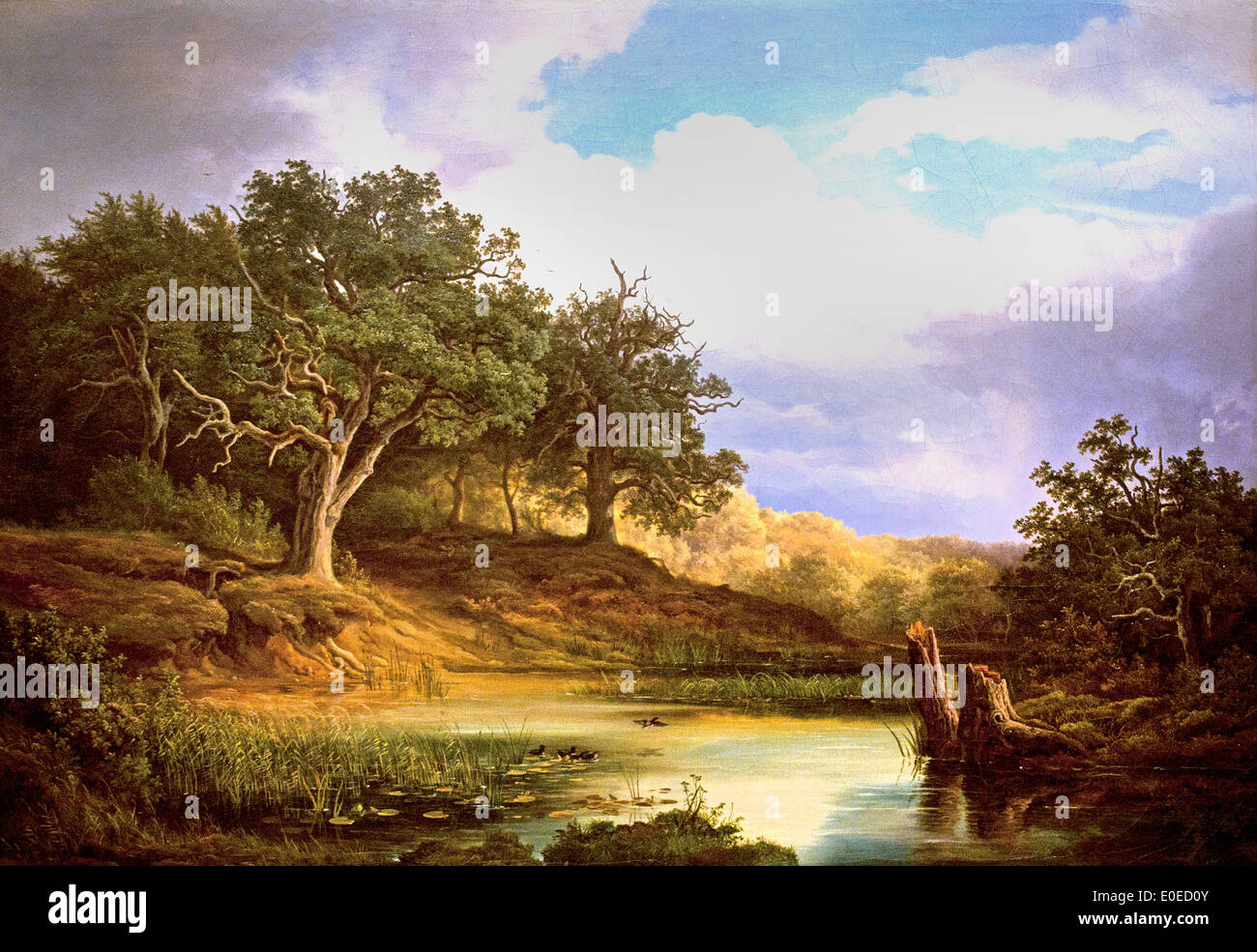 Oaks beside the Water 1832 B. Morgenstern 1805-1867 German Germany Stock Photo