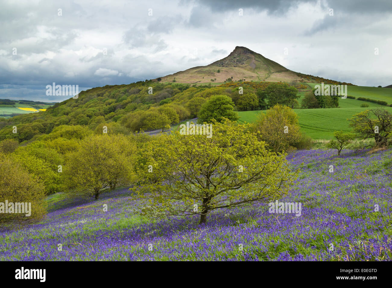 North York Moors National Park, North Yorkshire, UK. 11 May 2014 Stock