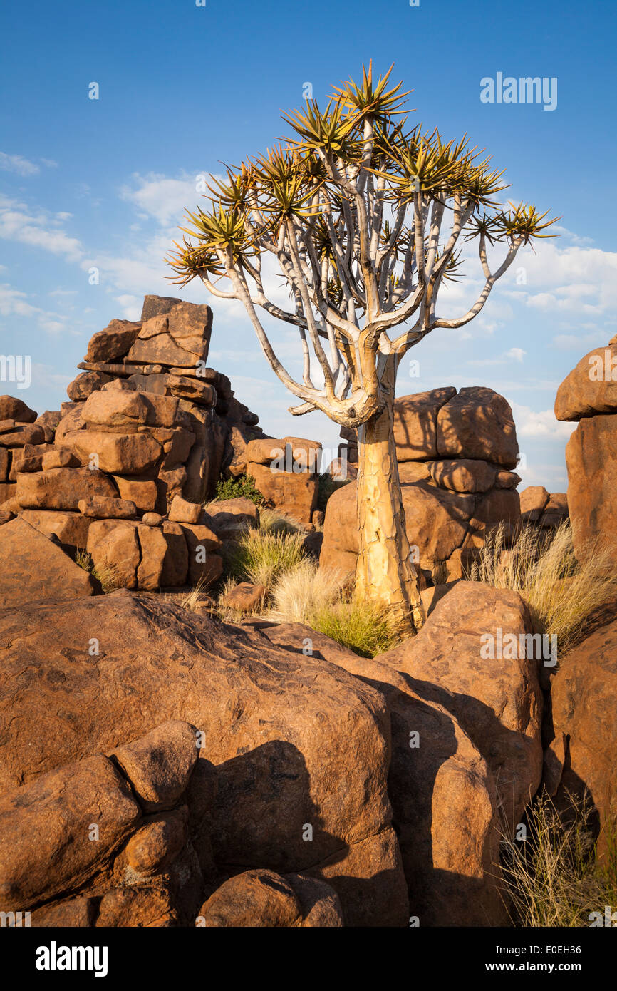Namibia Karas Quiver Tree Giant's Playground Stock Photo