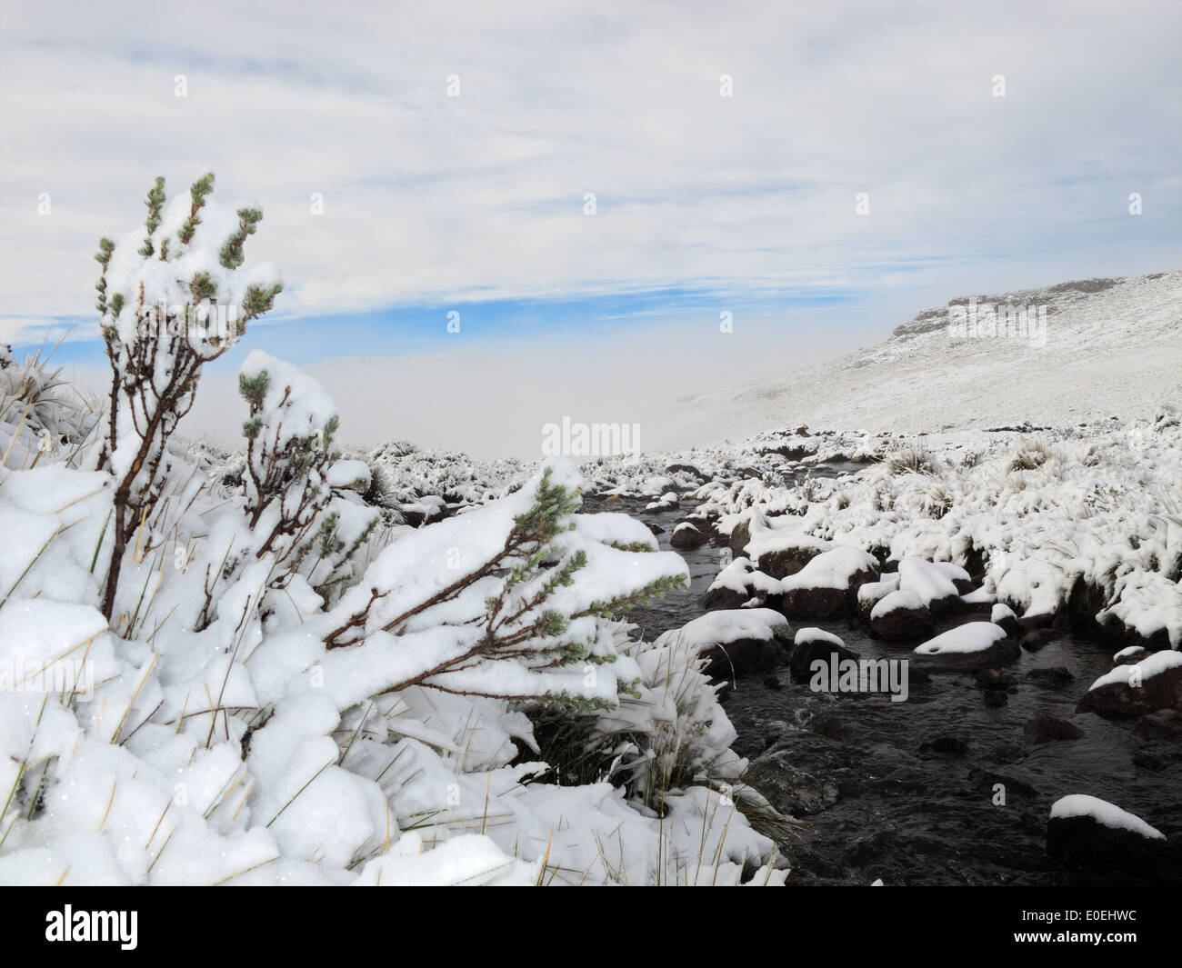 Winter Snow Landscape In The High Maluti Mountains Of Lesotho Southern