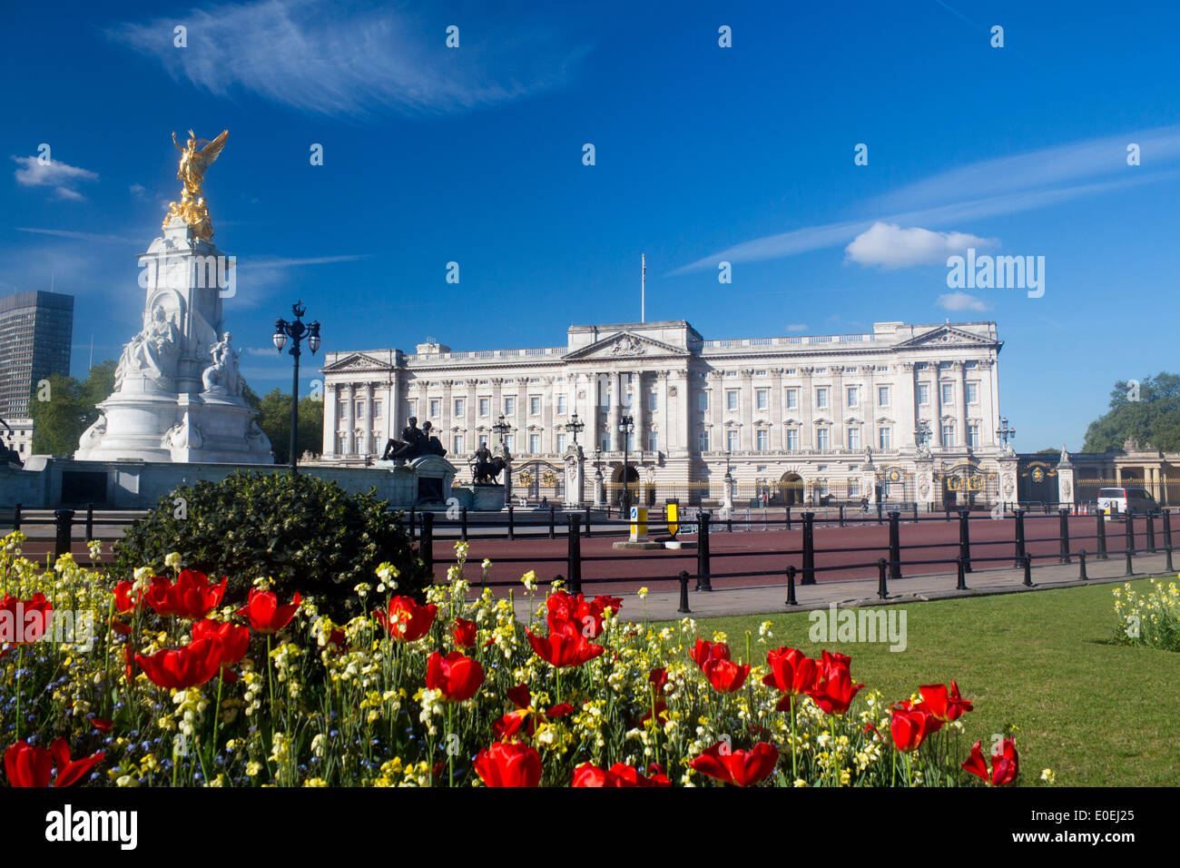 Buckingham Palace in spring with tulips and flowers in foreground Victoria Memorial to right of frame London England UK Stock Photo