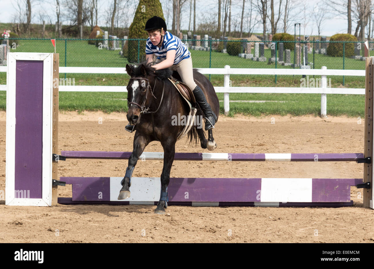 Bay horse clearing a jump with teenage boy rider at a local horse schooling show. Stock Photo
