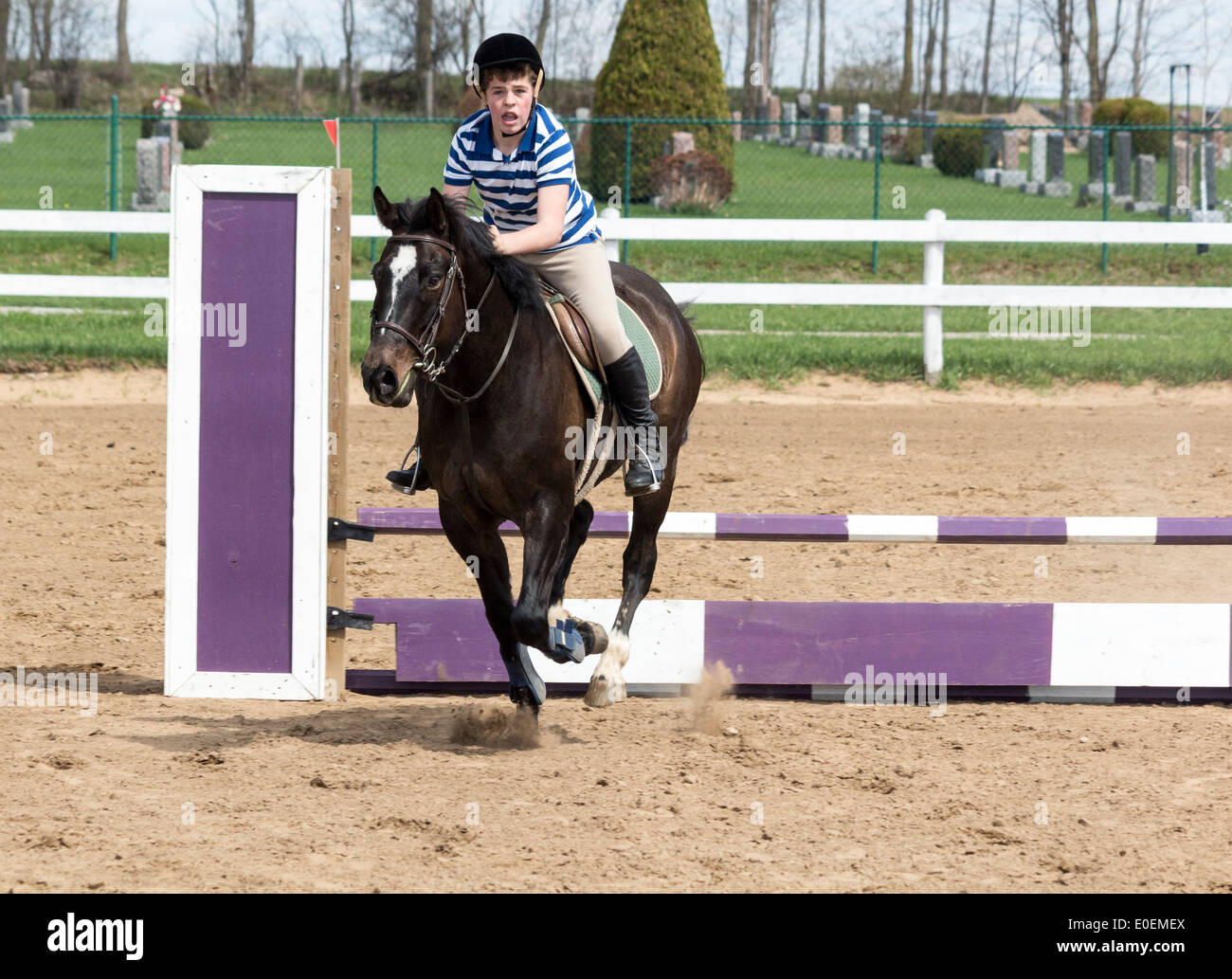 Bay horse clearing a jump with teenage boy rider at a local horse schooling show. Stock Photo