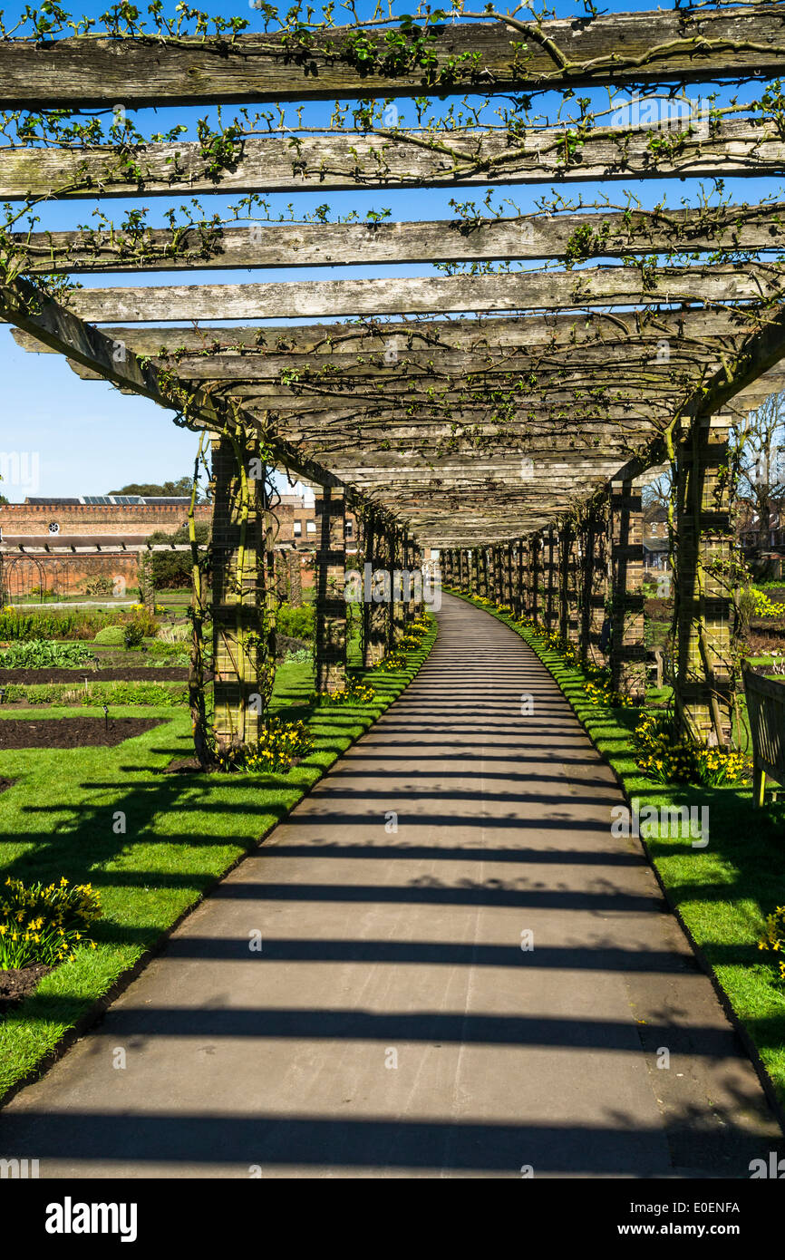 Pergola in Kew Gardens with stripes formed by sunlight shining through Stock Photo