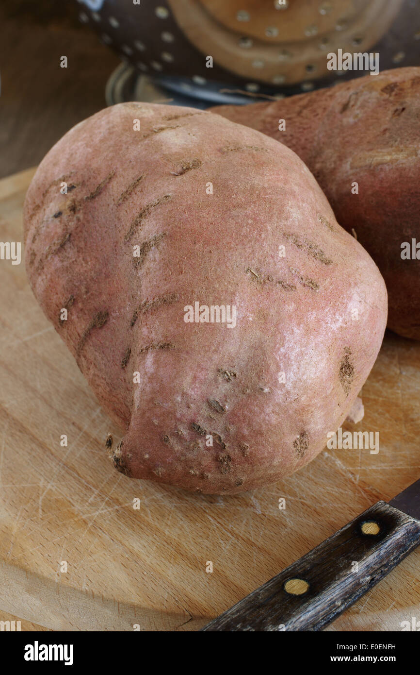 Sweet Potatoes or Ipomoea batatas are sweet tasting tuberous roots and a major food source Stock Photo