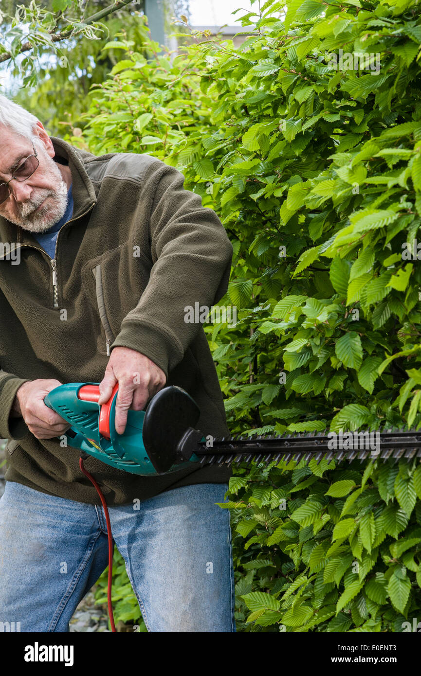 Older Man Trimming Hi Res Stock Photography And Images Alamy