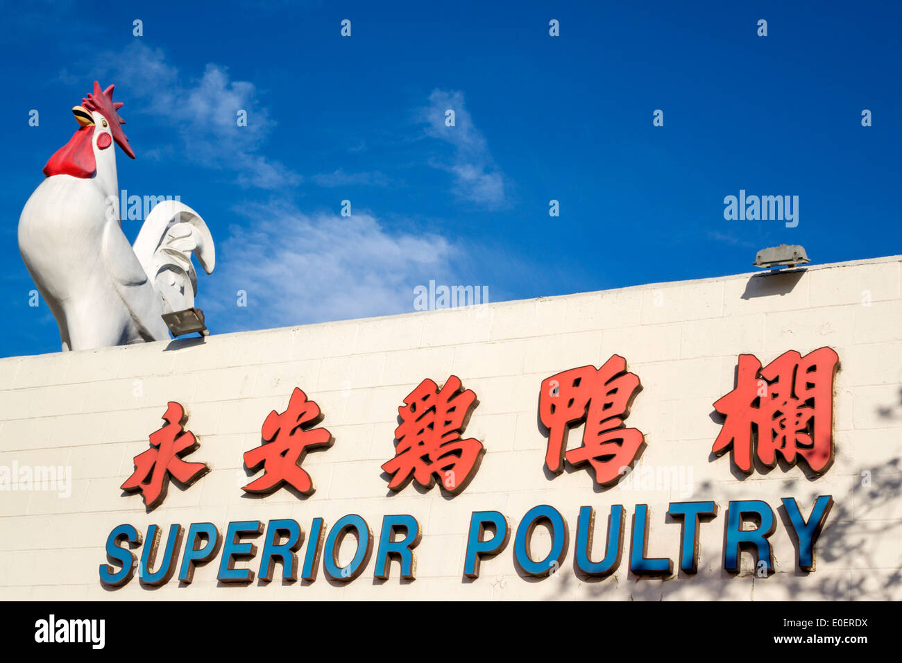 Los Angeles California,Chinatown,North Broadway neighborhood,Superior Poultry,live poultry market,sign,bilingual,Chinese,characters,logogram,hanzi,roo Stock Photo