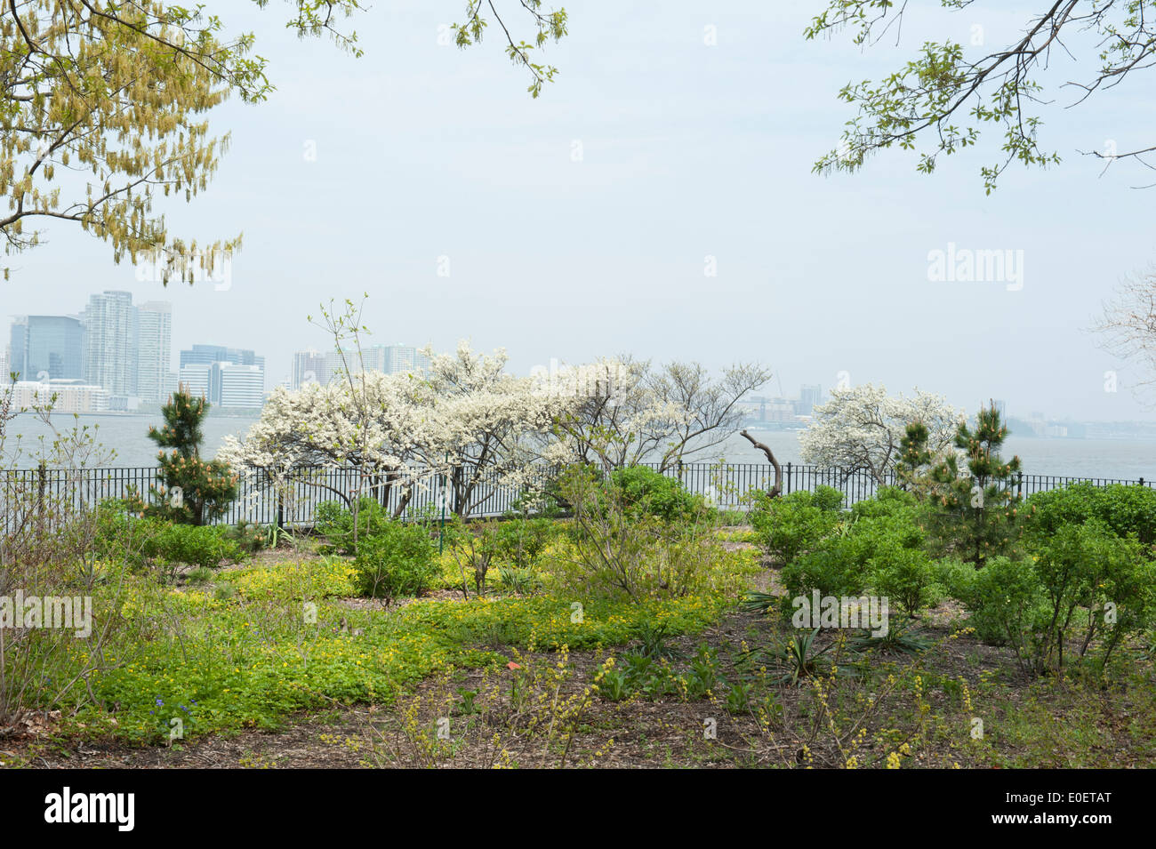 In Manhattan, New York City, the gardens of Battery Park City in springtime bloom. Stock Photo