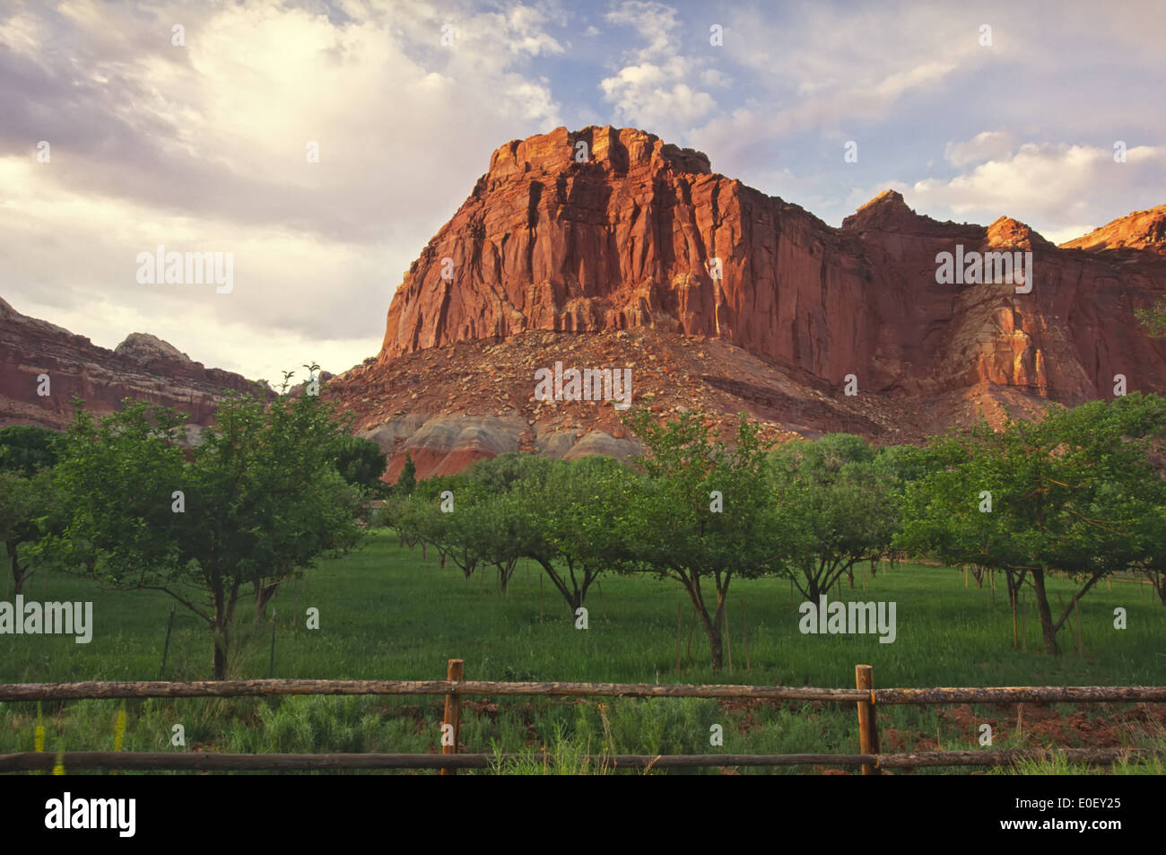 Reef plateau hi-res stock photography and images - Alamy