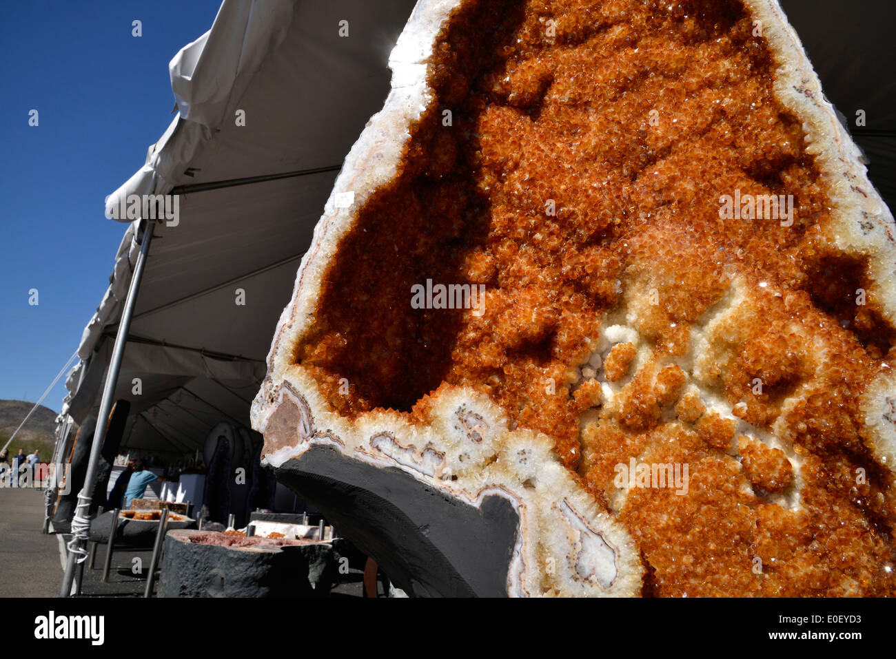 The annual Tucson Gem and Mineral Show draws vendors and buyers from