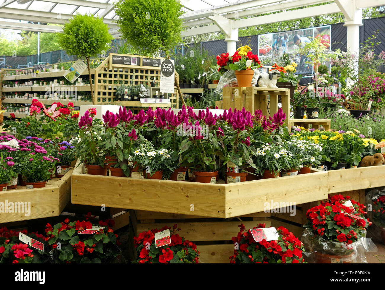 inside a homebase store garden centre Stock Photo