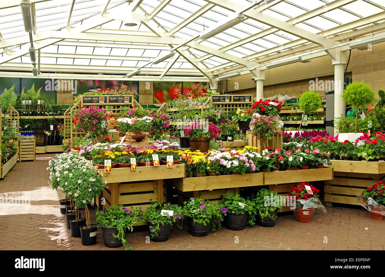 inside a homebase store garden centre Stock Photo