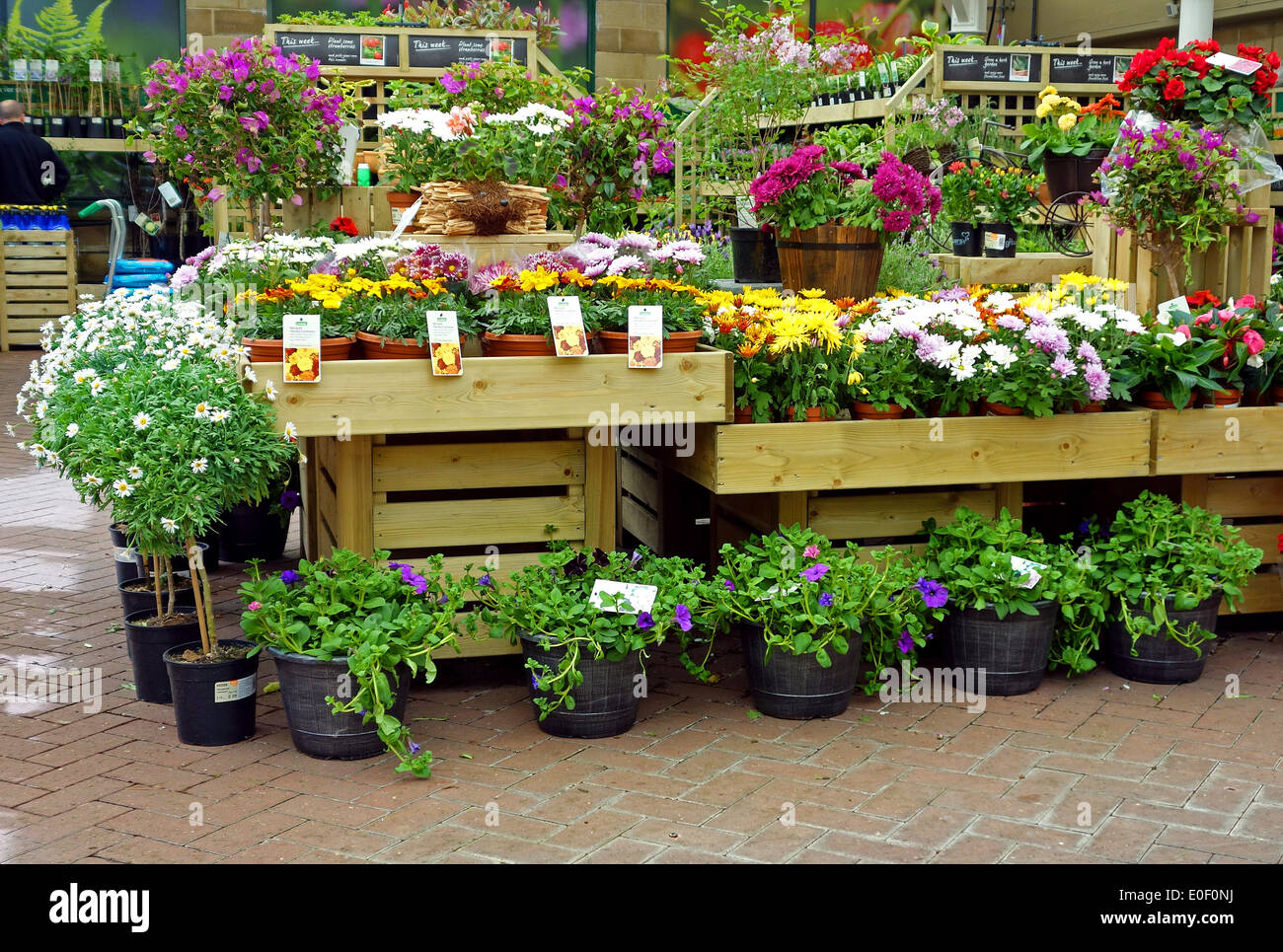 inside a homebase store garden centre Stock Photo