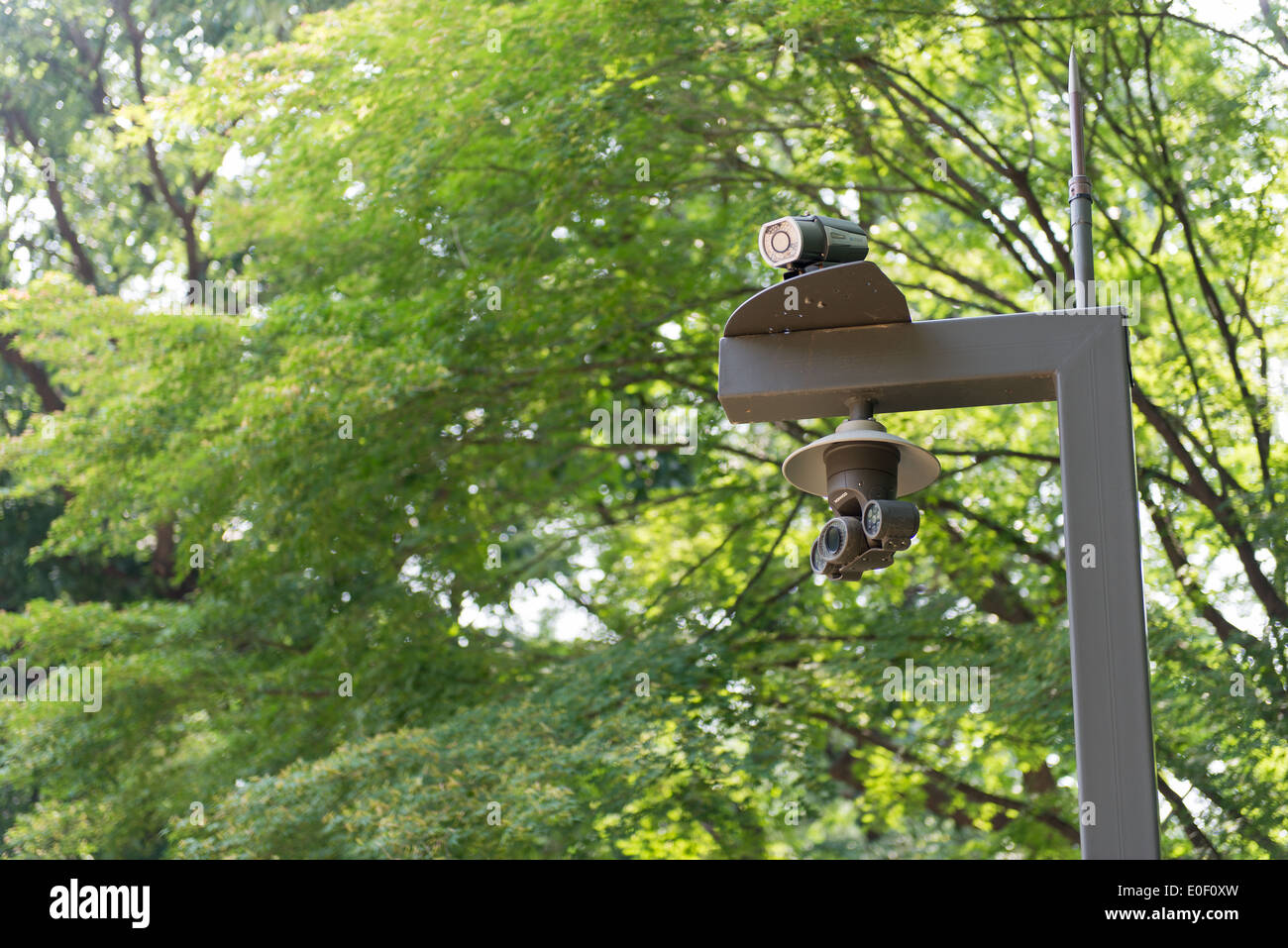 Video surveillance cameras in a temple park in Seoul, South Korea Stock