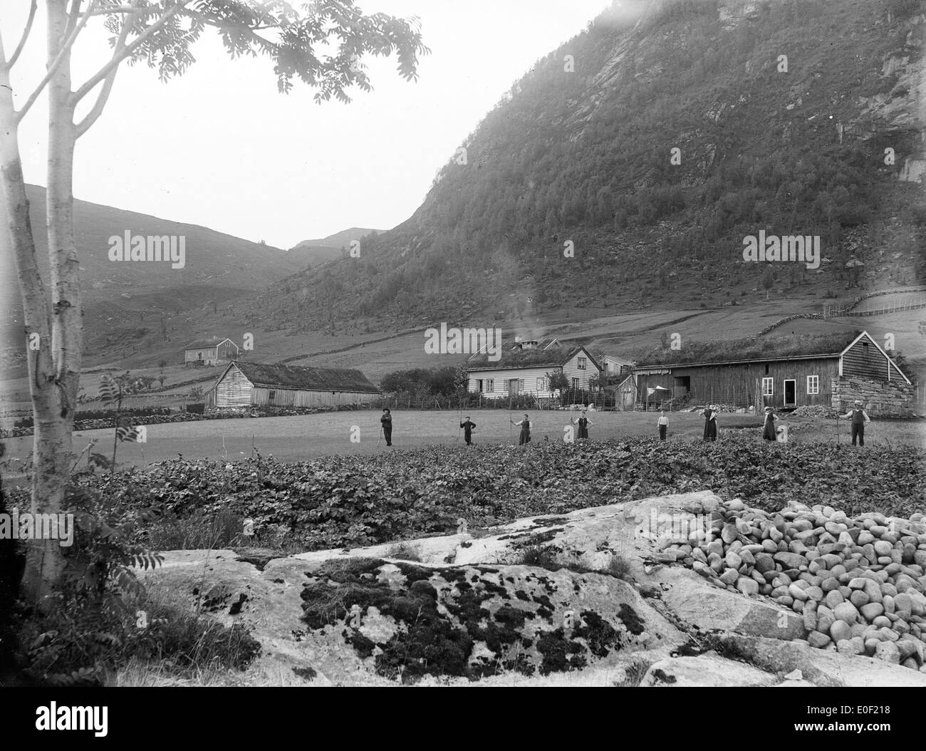 Farm, western Norway, ca. 1890-1910. Stock Photo