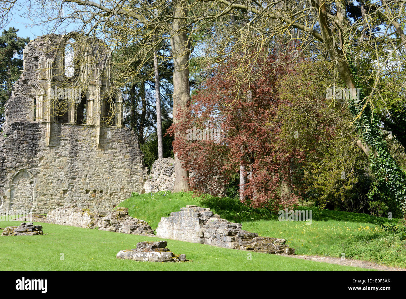 Much Wenlock Priory, Shropshire, UK Stock Photo Alamy