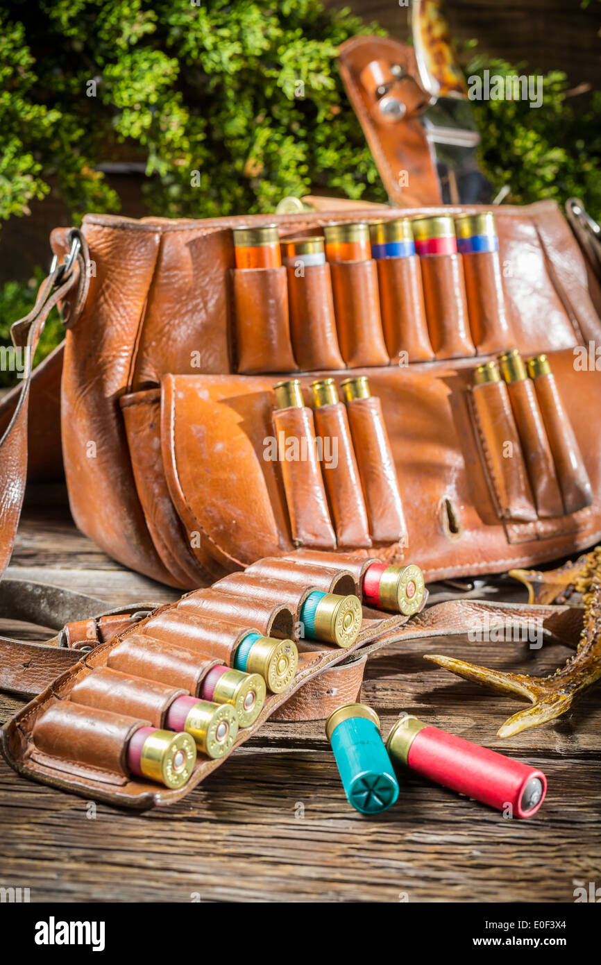 Cartridge belt and bag hunting Stock Photo Alamy