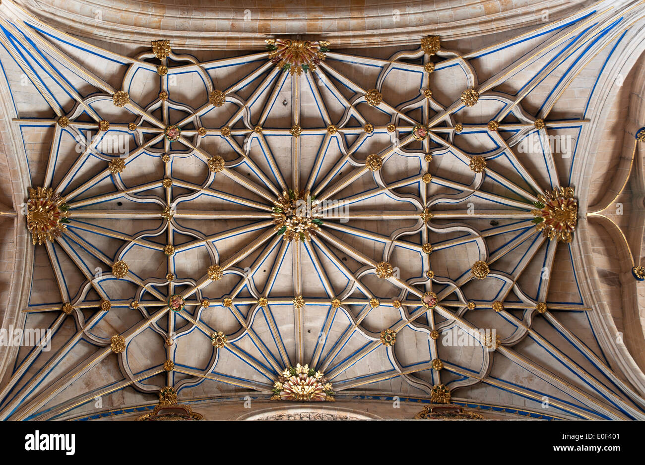 New Cathedral - interior, 16th century, Salamanca, Region of Castilla y Leon, Spain, Europe Stock Photo