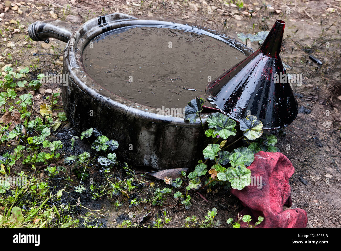 Oil drain pan containing dirty engine oil polluting soil & flora. Stock Photo