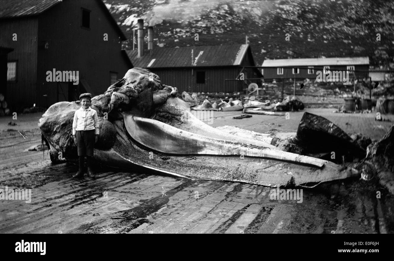 Vågane whaling station, ca. 1918-1920. Stock Photo