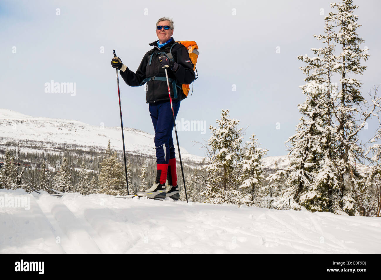 Sweden cross country skiier hires stock photography and images Alamy