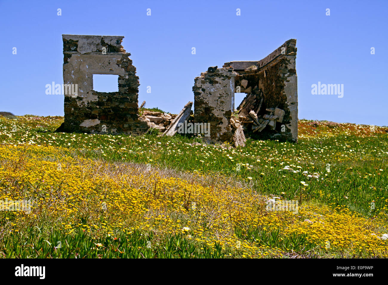 Ruin of a building in a meadow with flowers near Pedra da Atalaia in the Algarve, Portugal Stock Photo