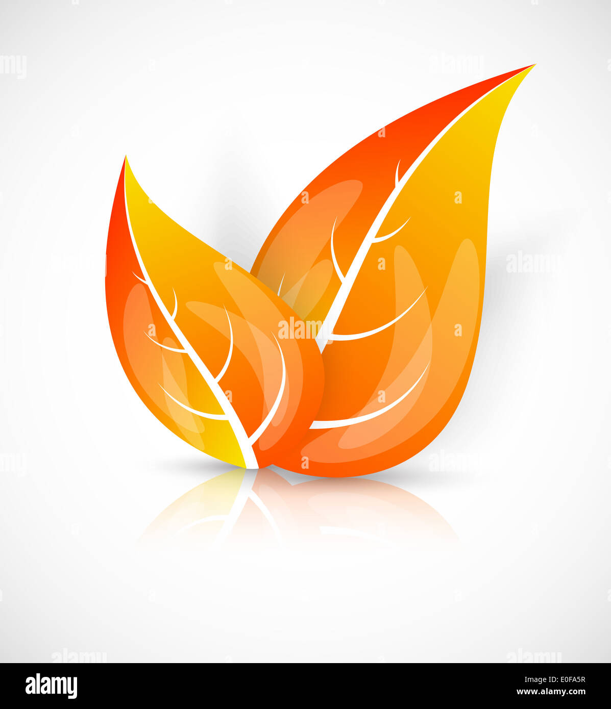 Two autumn leaves illustration hi-res stock photography and images - Alamy