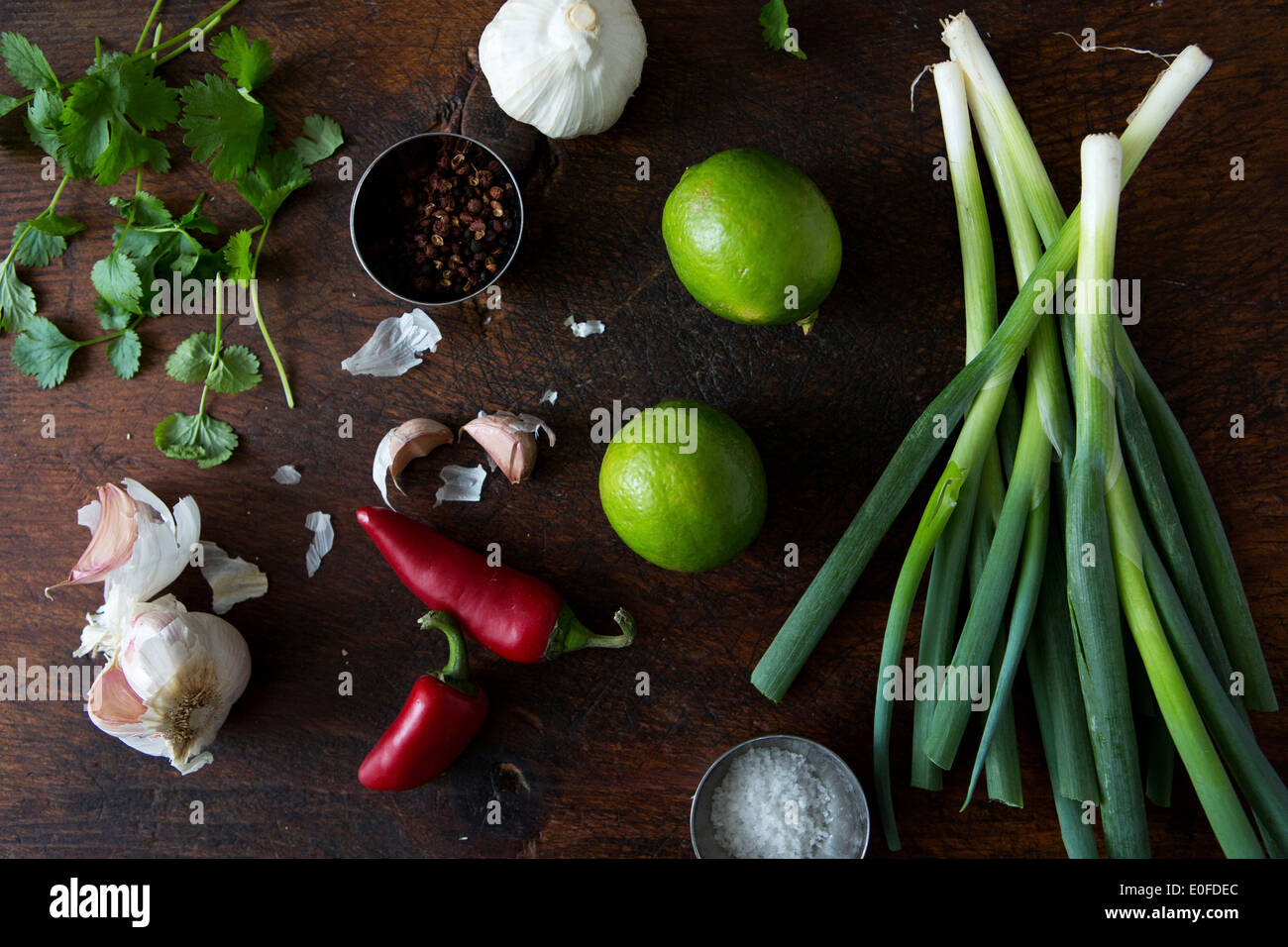 Ingredients. coriander, lime, spring onion, garlic, chilli, salt and pepper Stock Photo
