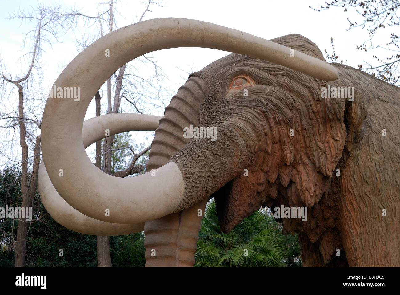 Sculpture of Mammoth in city center park. Parc de la Ciutadella. Barcelona. Catalonia. Spain. Stock Photo