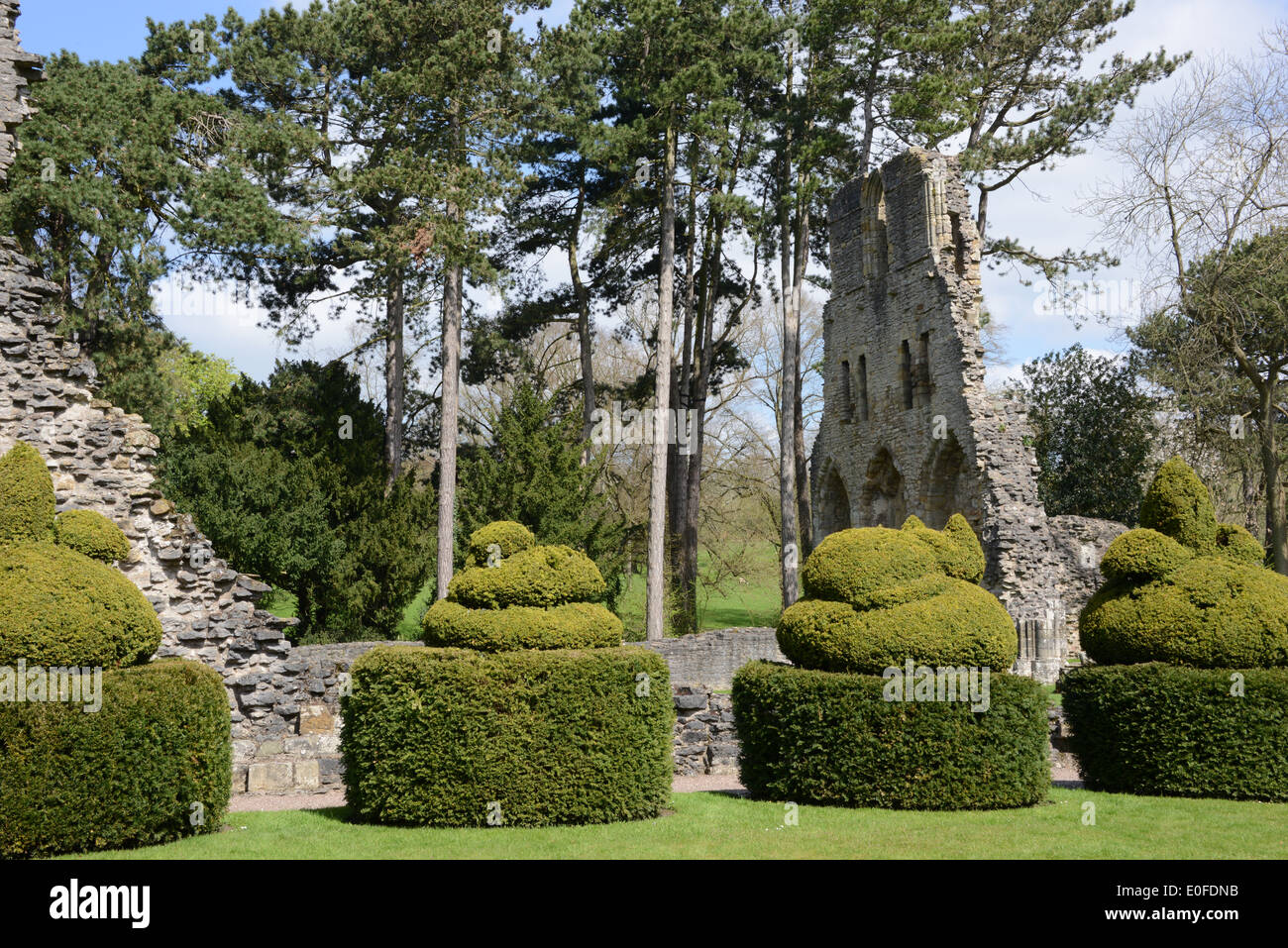 Much Wenlock Priory, Shropshire, UK Stock Photo Alamy