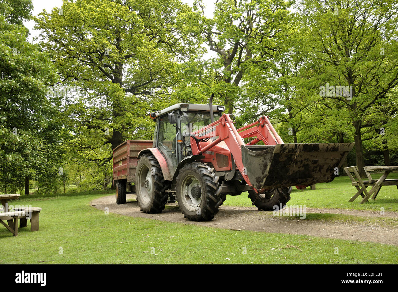 Massey Ferguson tractor pulling trailer with half raised bucket