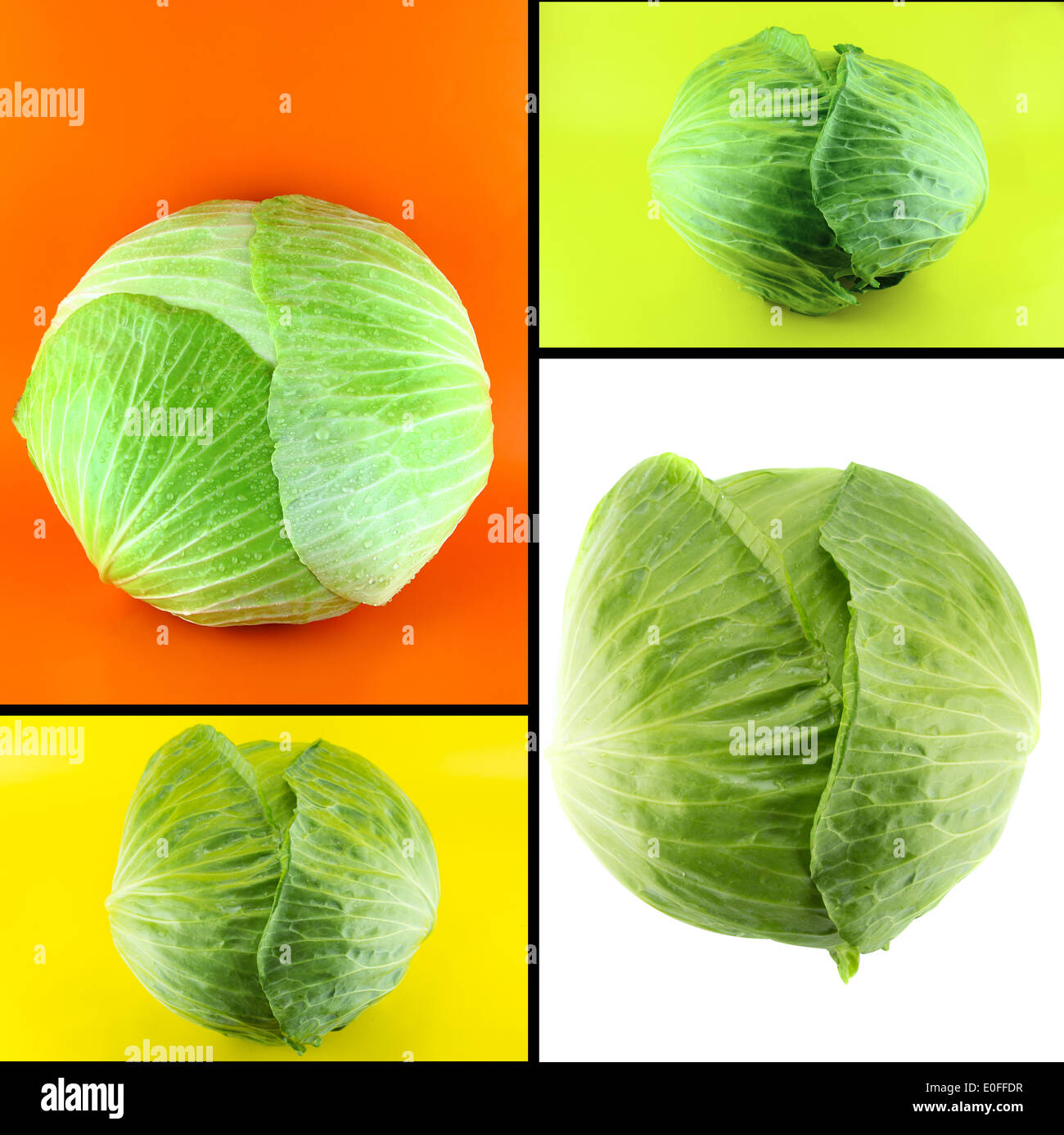 Healthy and organic food, Set of fresh green cabbage Stock Photo - Alamy