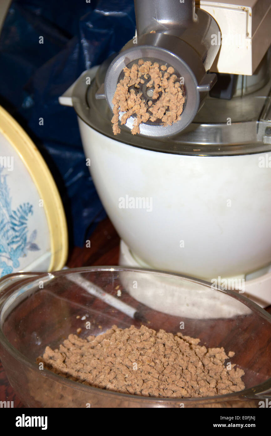 Old Fashion Meat Mincer Grinding Beef Stock Photo Alamy