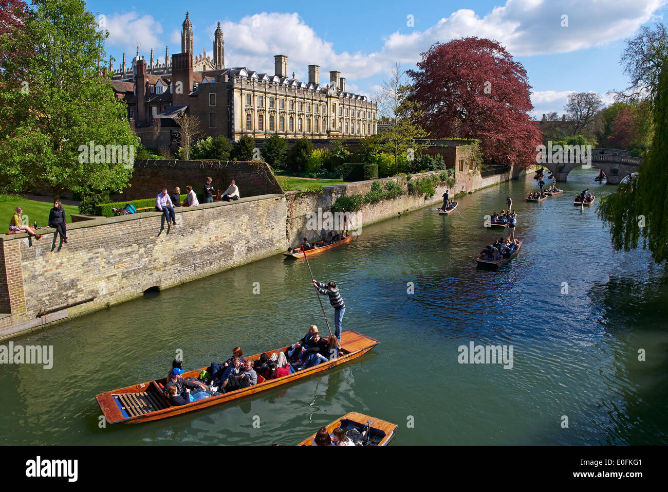 Spring Punting on the River Cam, Clare College on the left. Cambridge, UK Stock Photo