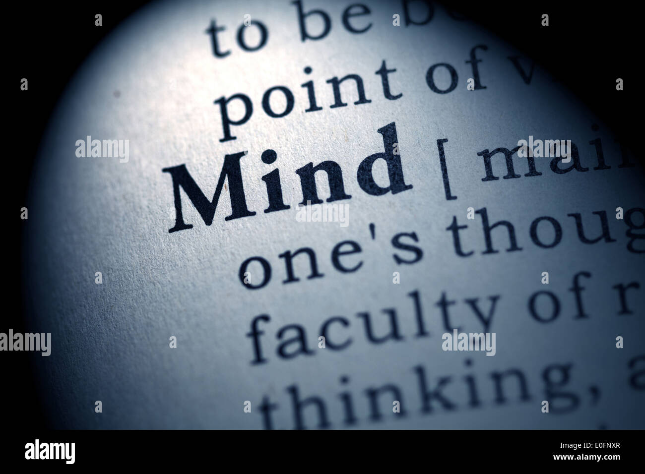 Fake Dictionary, Dictionary definition of the word mind Stock Photo Alamy