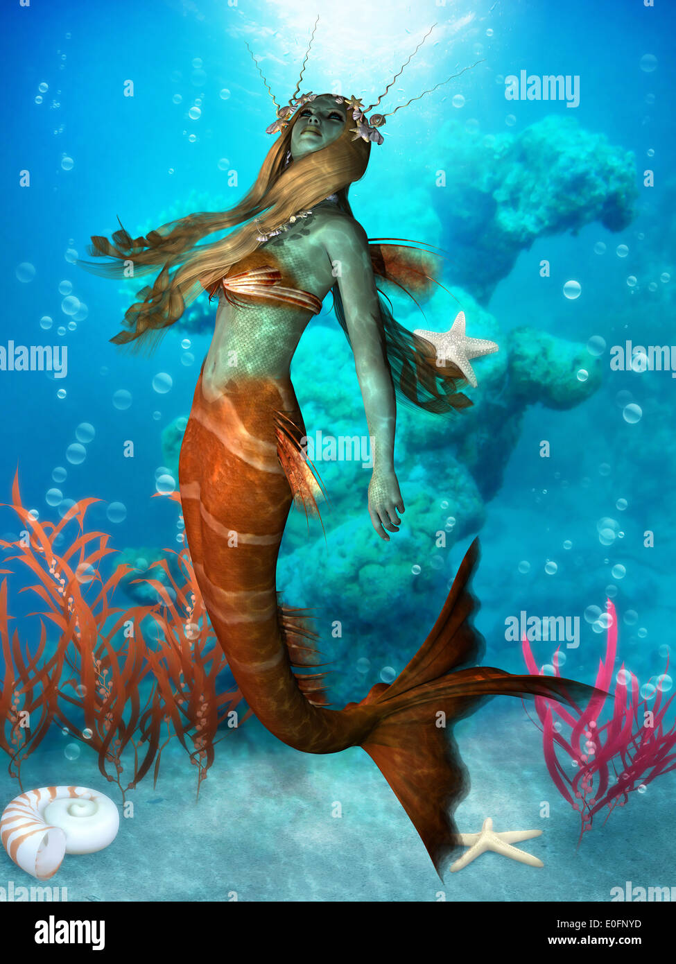 The Mermaid is a legendary aquatic creature with the upper body of a woman and the tail of a fish. Stock Photo